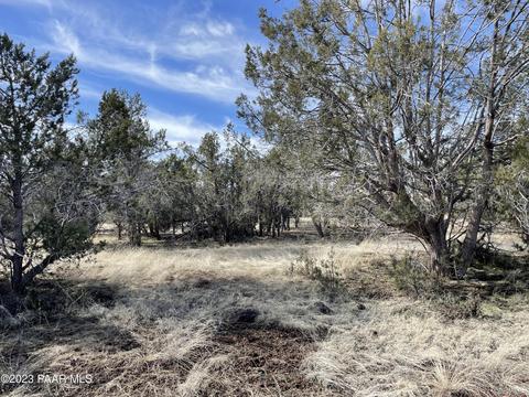 464 Mesa Dr, Ash Fork, AZ 86320 photo 18