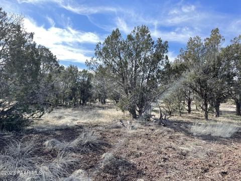 464 Mesa Dr, Ash Fork, AZ 86320 photo 17