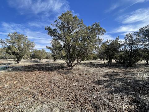 464 Mesa Dr, Ash Fork, AZ 86320 photo 9