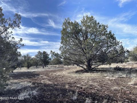 464 Mesa Dr, Ash Fork, AZ 86320 photo 15