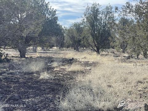 464 Mesa Dr, Ash Fork, AZ 86320 photo 14