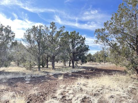 464 Mesa Dr, Ash Fork, AZ 86320 photo 16