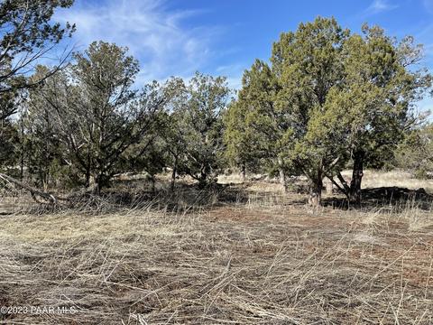 464 Mesa Dr, Ash Fork, AZ 86320 photo 6