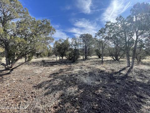 464 Mesa Dr, Ash Fork, AZ 86320 photo 7