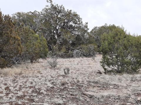 54290 N Conquistador Pkwy, Seligman, AZ 86337