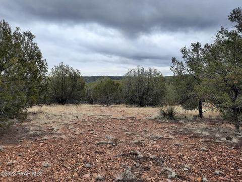 33497 W El Caballo Rd, Seligman, AZ 86337