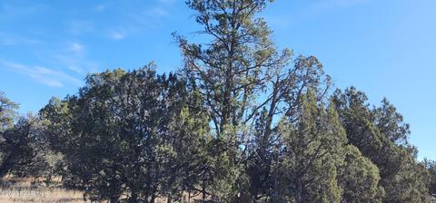 Lot 153 Juniperwood Ranch, Ash Fork, AZ 86320
