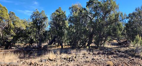 Lot 128 Juniperwood Ranch, Ash Fork, AZ 86320