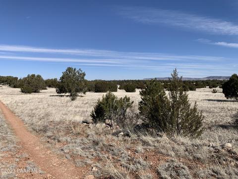 32238 W Avenida Bailar, Seligman, AZ 86337