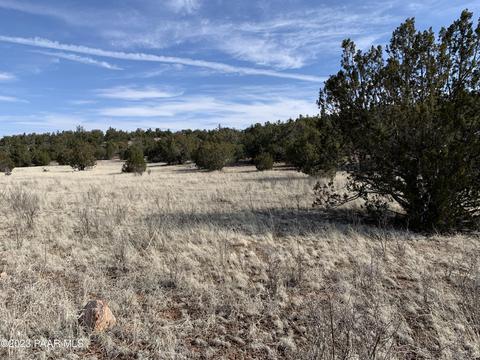 55469 N Cabra Ln, Seligman, AZ 86337