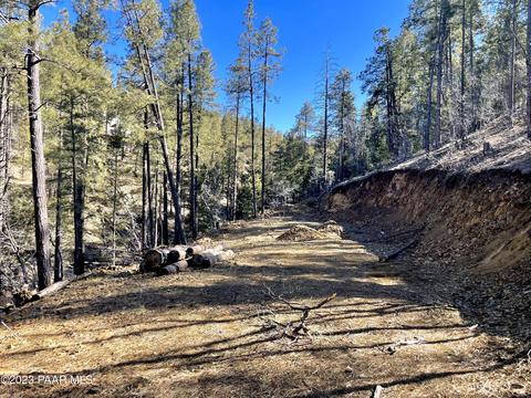 2695 E Preddy Ln, Prescott, AZ 86303