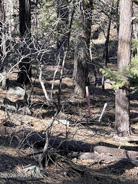 2695 E Preddy Ln, Prescott, AZ 86303 photo 16