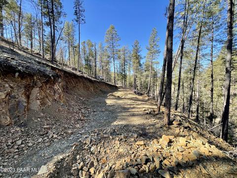 2695 E Preddy Ln, Prescott, AZ 86303 photo 5