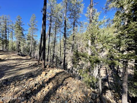 2695 E Preddy Ln, Prescott, AZ 86303 photo 7