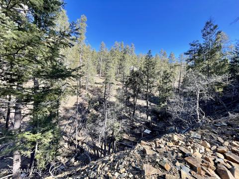 2695 E Preddy Ln, Prescott, AZ 86303 photo 6