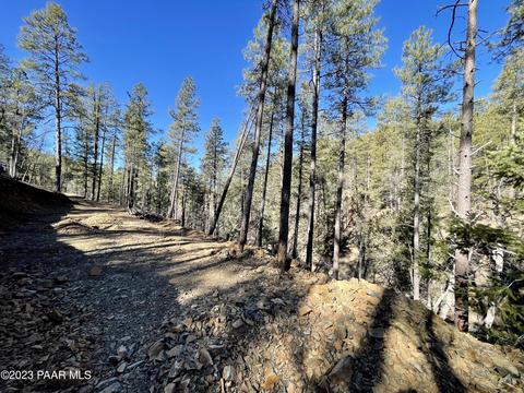 2695 E Preddy Ln, Prescott, AZ 86303 photo 9