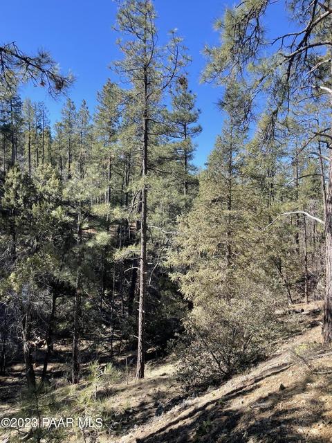 2695 E Preddy Ln, Prescott, AZ 86303 photo 15