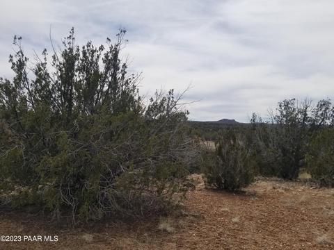 376 Haywire, Ash Fork, AZ 86320