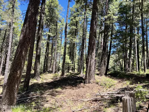 0 Pearly Gates Dr, Prescott, AZ 86304