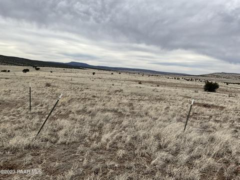 00 Williamson Valley Rd, Seligman, AZ 86337