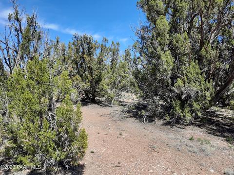 26897 W Fort Rock Rd, Seligman, AZ 86337