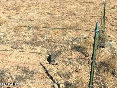 9800 NW A Nw Boiling Pot Rd, Ash Fork, AZ 86320 photo 2