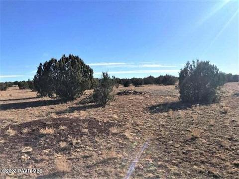 9800 NW A Nw Boiling Pot Rd, Ash Fork, AZ 86320 photo 3