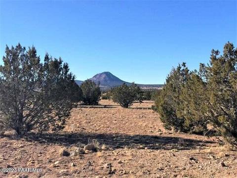 9800 SE C Se Boiling Pot Rd, Ash Fork, AZ 86320 photo 3