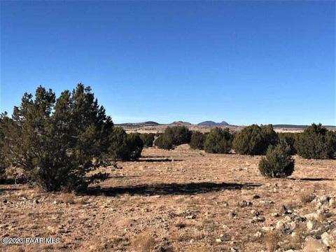 9800 SW D Sw Boiling Pot Rd, Ash Fork, AZ 86320 photo 3