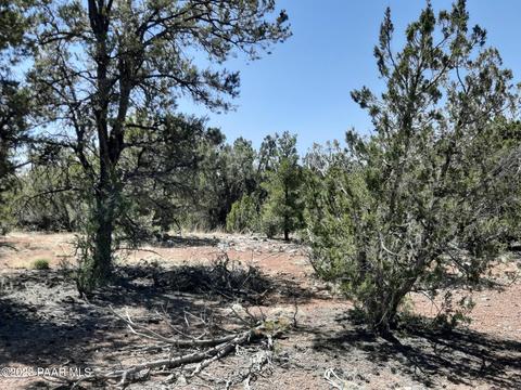 57192 Cll Bootis, Seligman, AZ 86337