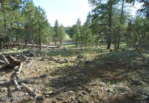 00 Fox Ranch Rd, Munds Park, AZ 86017