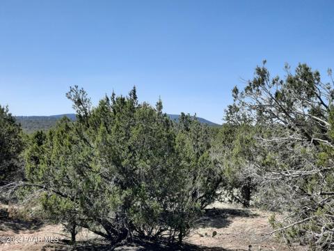 33756 W El Caballo Rd, Seligman, AZ 86337 photo 4