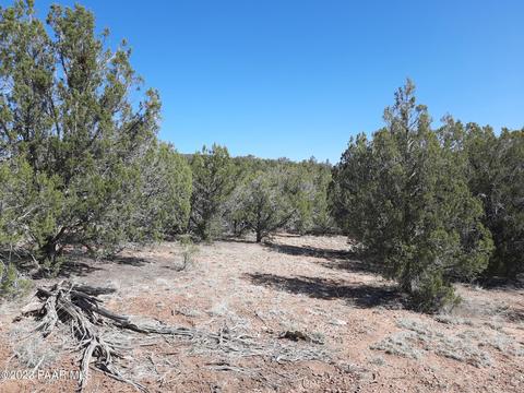 33756 W El Caballo Rd, Seligman, AZ 86337 photo 7