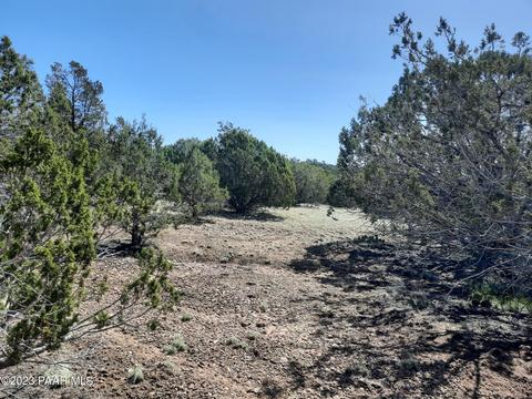 33756 W El Caballo Rd, Seligman, AZ 86337 photo 9