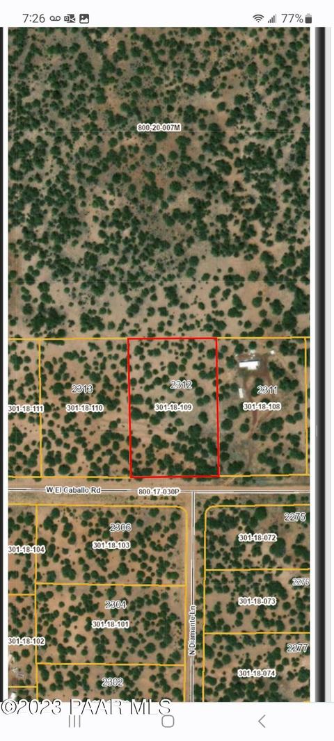 33756 W El Caballo Rd, Seligman, AZ 86337 photo 11