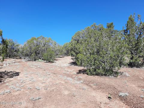 33756 W El Caballo Rd, Seligman, AZ 86337 photo 8