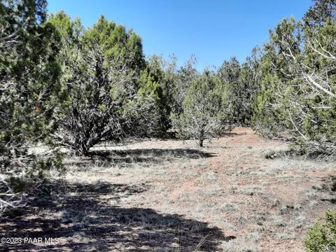 33756 W El Caballo Rd, Seligman, AZ 86337 photo 6