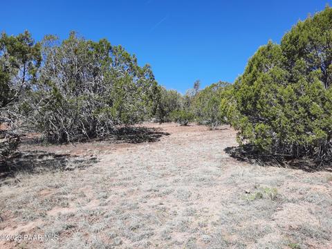 33756 W El Caballo Rd, Seligman, AZ 86337 photo 3