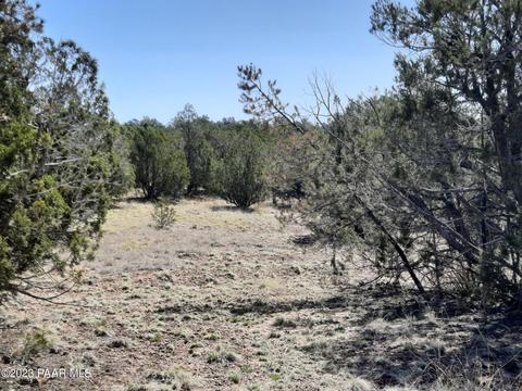 33756 W El Caballo Rd, Seligman, AZ 86337 photo 5