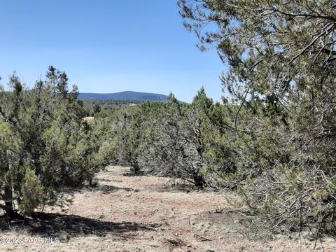 33756 W El Caballo Rd, Seligman, AZ 86337