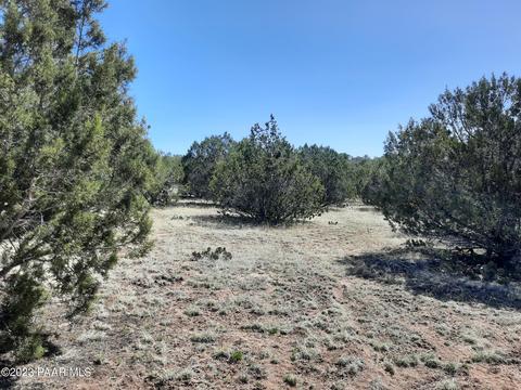 33756 W El Caballo Rd, Seligman, AZ 86337 photo 2