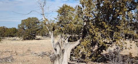 30640006 Headwaters Rnch # w, Paulden, AZ 86334