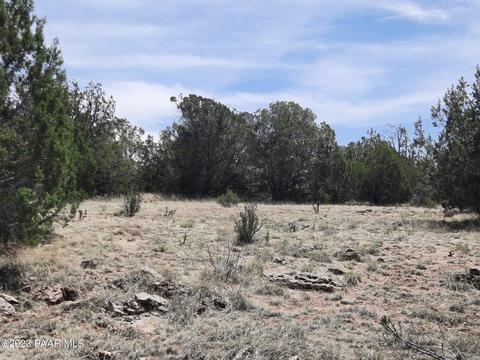 32890 W Forest Ln, Seligman, AZ 86337