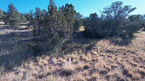30863 W Basconia Rd, Seligman, AZ 86337