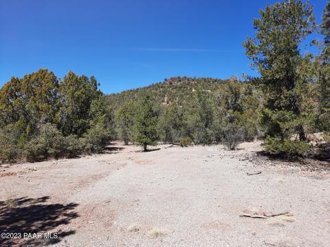 Lot 964 Rocking Dog Rd, Seligman, AZ 86337