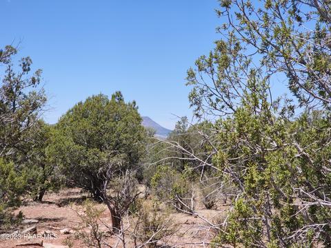 12 Crookton Rd # a, Ash Fork, AZ 86320