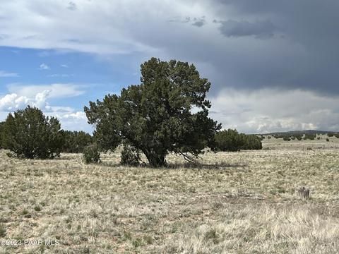 13 Antelope Run Rd # B, Ash Fork, AZ 86320 photo 2