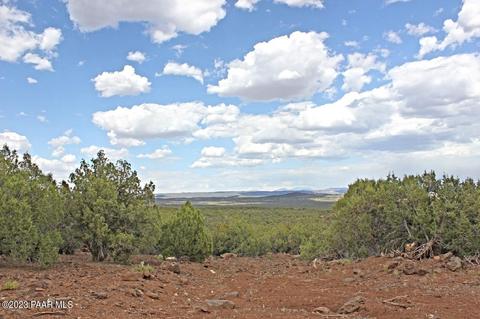 133 Juniperwood Rnch, Ash Fork, AZ 86320 photo 2