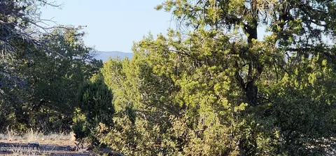 View/Area - 0 Cattle Dr, Ash Fork, AZ 86320 photo 1 of 9