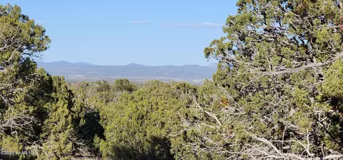 View/Area - 0 Cattle Dr, Ash Fork, AZ 86320 photo 9 of 9